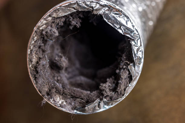 Best Local Air Duct Cleaning Services  in Montgomery, PA